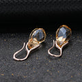 Visací náušnice Prestigious Amber Hook